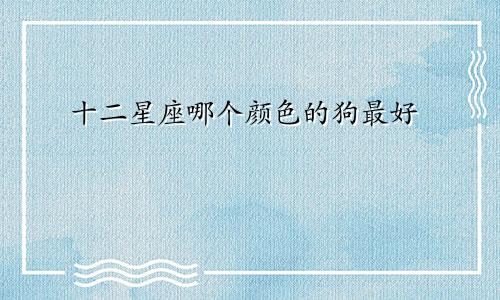 十二星座哪个颜色的狗最好