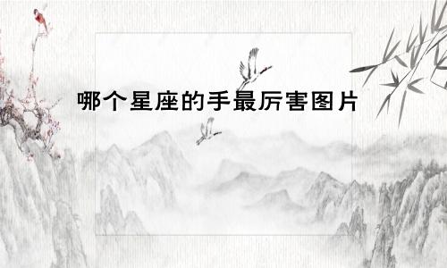 哪个星座的手最厉害图片
