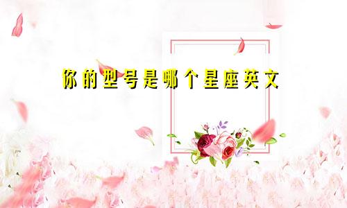你的型号是哪个星座英文