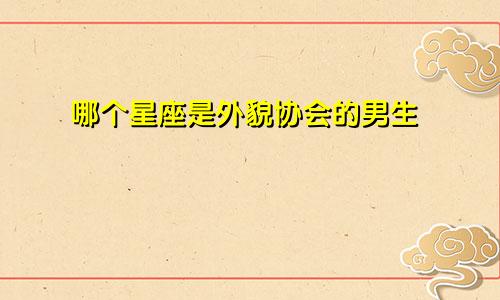 哪个星座是外貌协会的男生