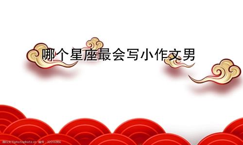 哪个星座最会写小作文男