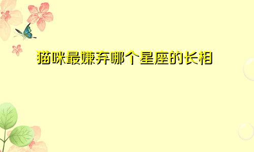 猫咪最嫌弃哪个星座的长相