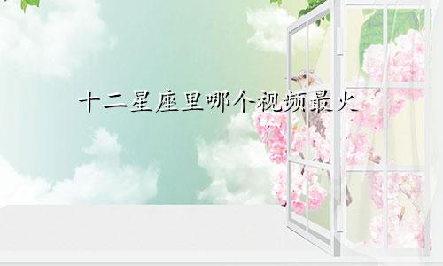 十二星座里哪个视频最火