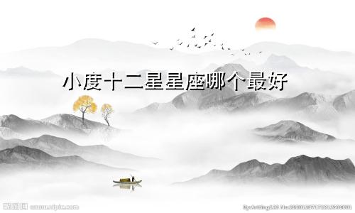 小度十二星星座哪个最好