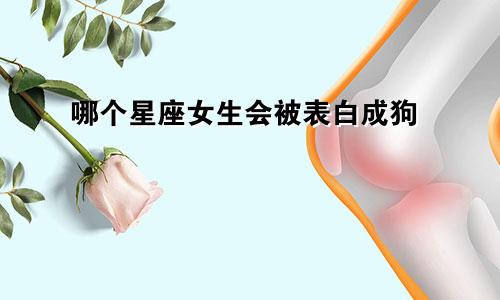 哪个星座女生会被表白成狗