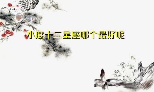 小度十二星座哪个最好呢