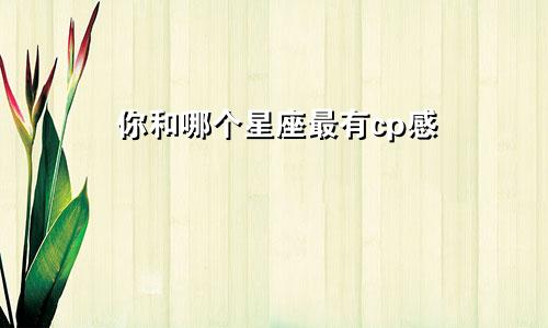 你和哪个星座最有cp感