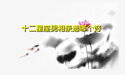 十二星座男相亲选哪个好