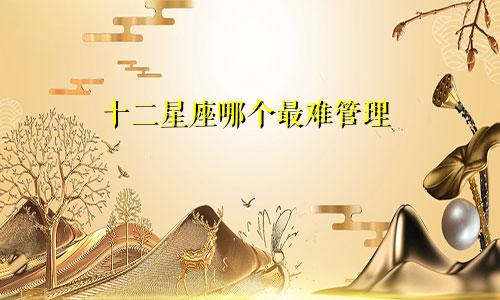 十二星座哪个最难管理