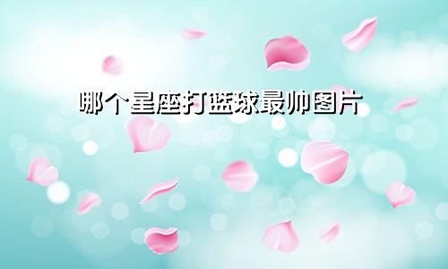 哪个星座打篮球最帅图片