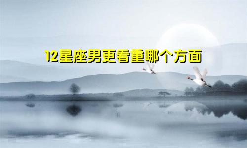 12星座男更看重哪个方面