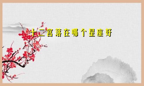 十二宫落在哪个星座好