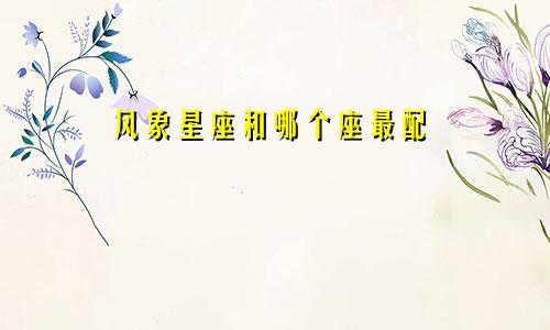风象星座和哪个座最配