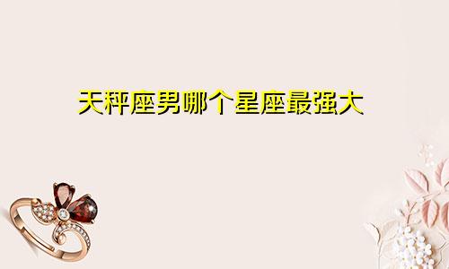 天秤座男哪个星座最强大