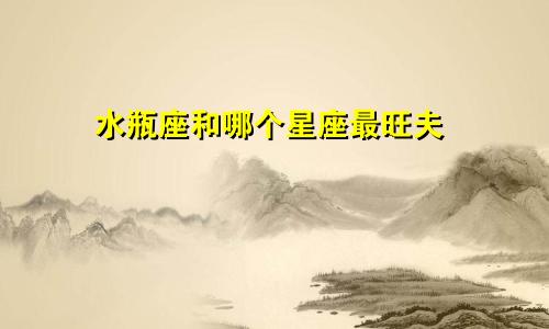 水瓶座和哪个星座最旺夫