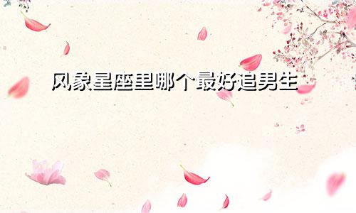 风象星座里哪个最好追男生