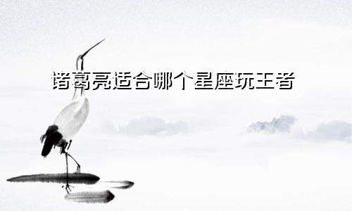 诸葛亮适合哪个星座玩王者