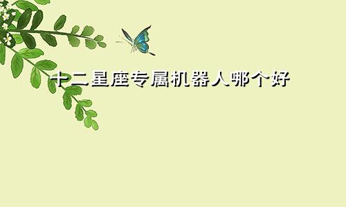 十二星座专属机器人哪个好