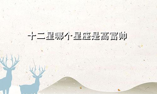 十二星哪个星座是高富帅