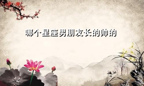 哪个星座男朋友长的帅的