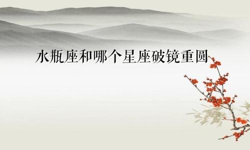 水瓶座和哪个星座破镜重圆