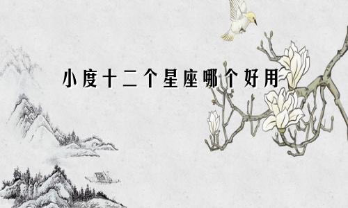 小度十二个星座哪个好用