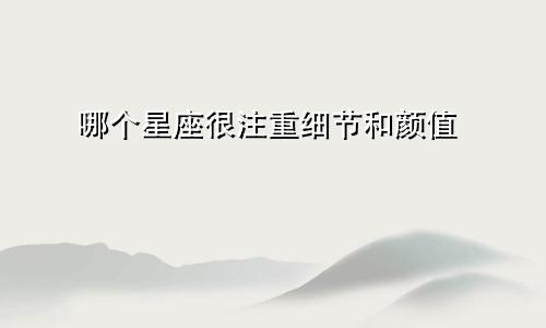 哪个星座很注重细节和颜值