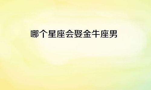 哪个星座会娶金牛座男