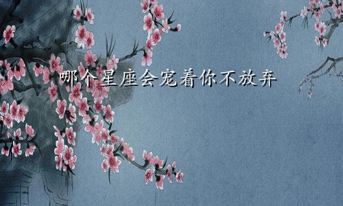 哪个星座会宠着你不放弃