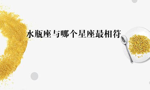 水瓶座与哪个星座最相符