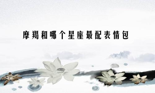 摩羯和哪个星座最配表情包