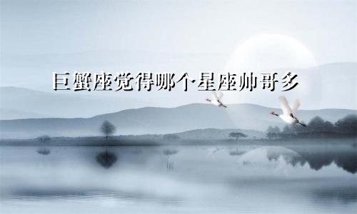 巨蟹座觉得哪个星座帅哥多