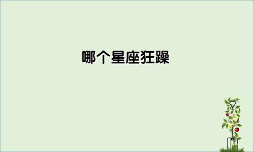 哪个星座狂躁