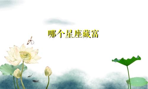 哪个星座藏富