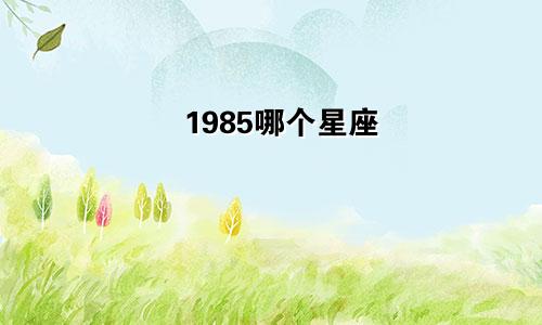 1985哪个星座