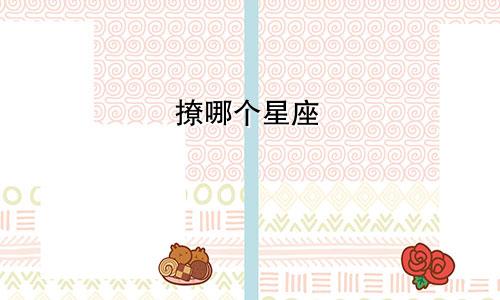 撩哪个星座