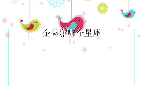 金善雅哪个星座