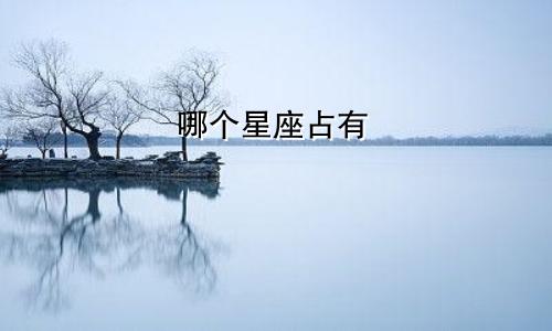 哪个星座占有