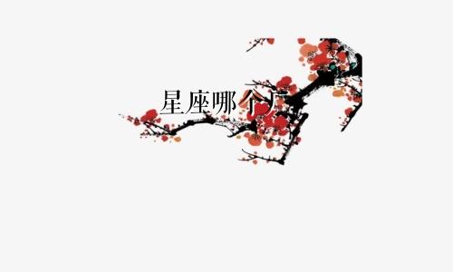 星座哪个厂