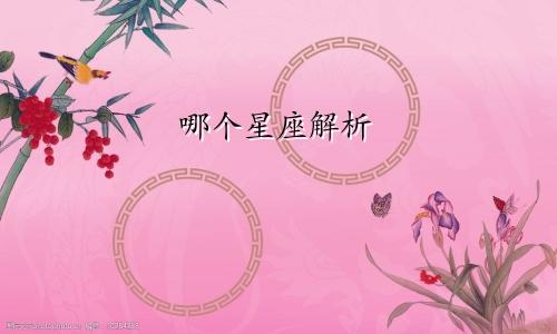哪个星座解析