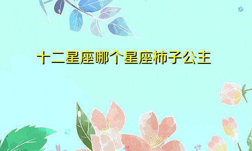 十二星座哪个星座柿子公主
