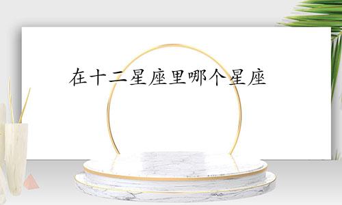 在十二星座里哪个星座
