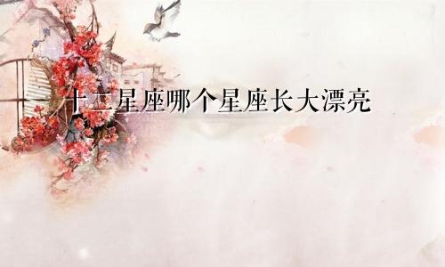 十二星座哪个星座长大漂亮