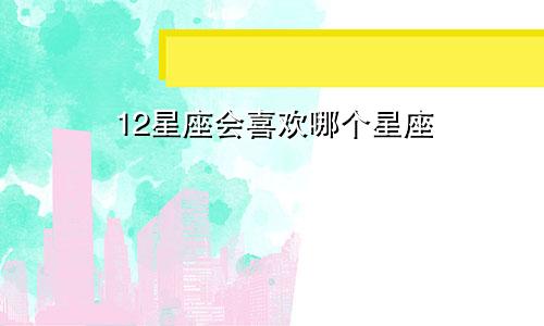 12星座会喜欢哪个星座