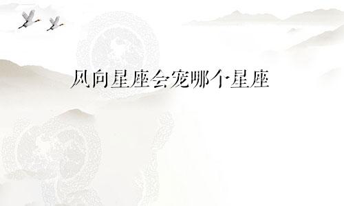 风向星座会宠哪个星座
