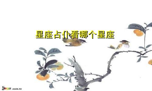 星座占仆看哪个星座