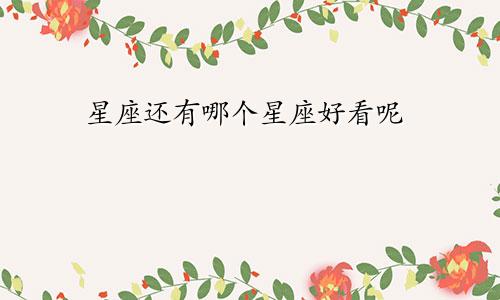 星座还有哪个星座好看呢