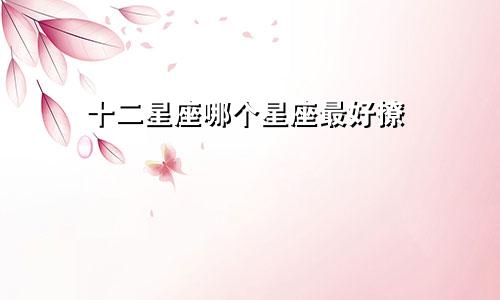 十二星座哪个星座最好撩