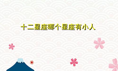 十二星座哪个星座有小人