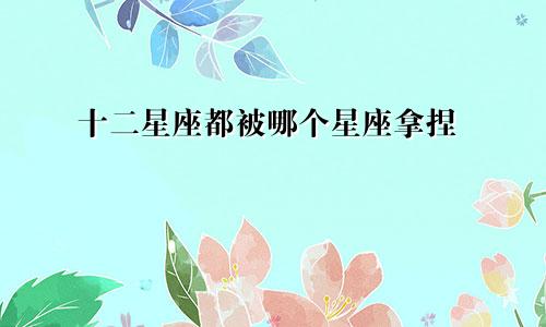 十二星座都被哪个星座拿捏